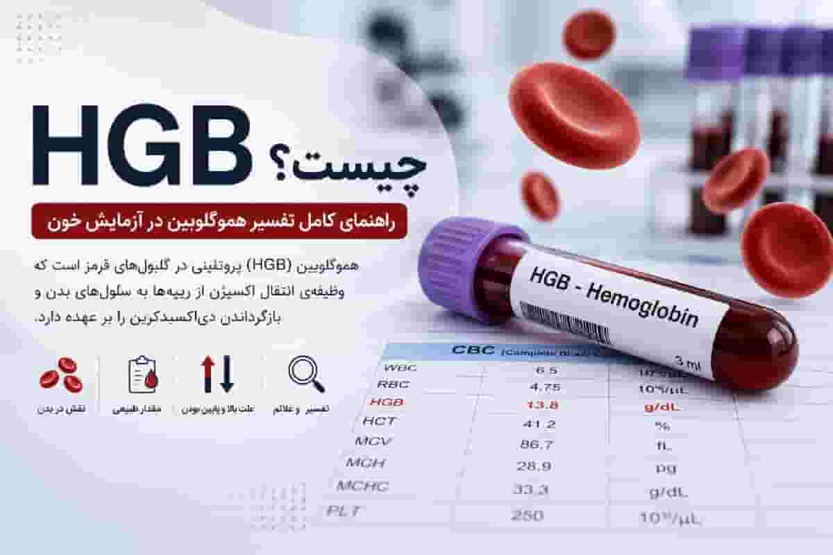 HGB چیست؟ علت بالا و پایین بودن هموگلوبین در آزمایش خون | تفسیر کامل