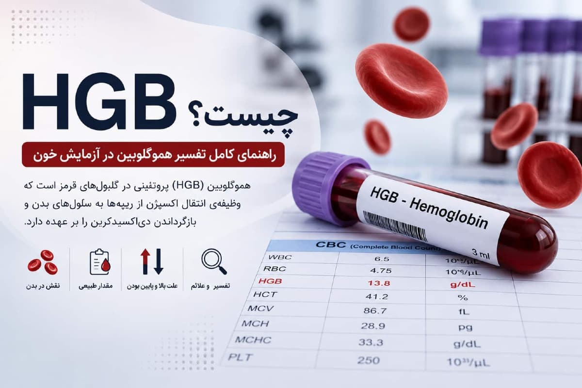 HGB چیست؟ علت بالا و پایین بودن هموگلوبین در آزمایش خون | تفسیر کامل