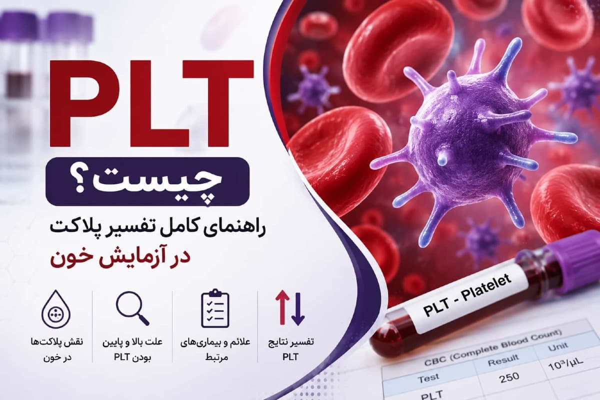 PLT چیست؟ علت بالا و پایین بودن PLT در آزمایش خون | راهنمای کامل تفسیر پلاکت